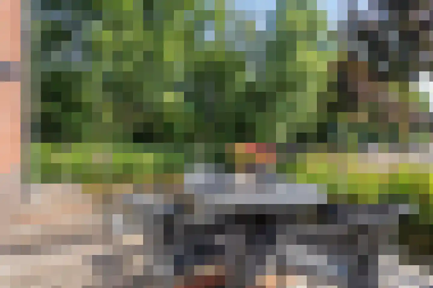 Dassenburcht 6 Scherpenzeel thumbnail 45
