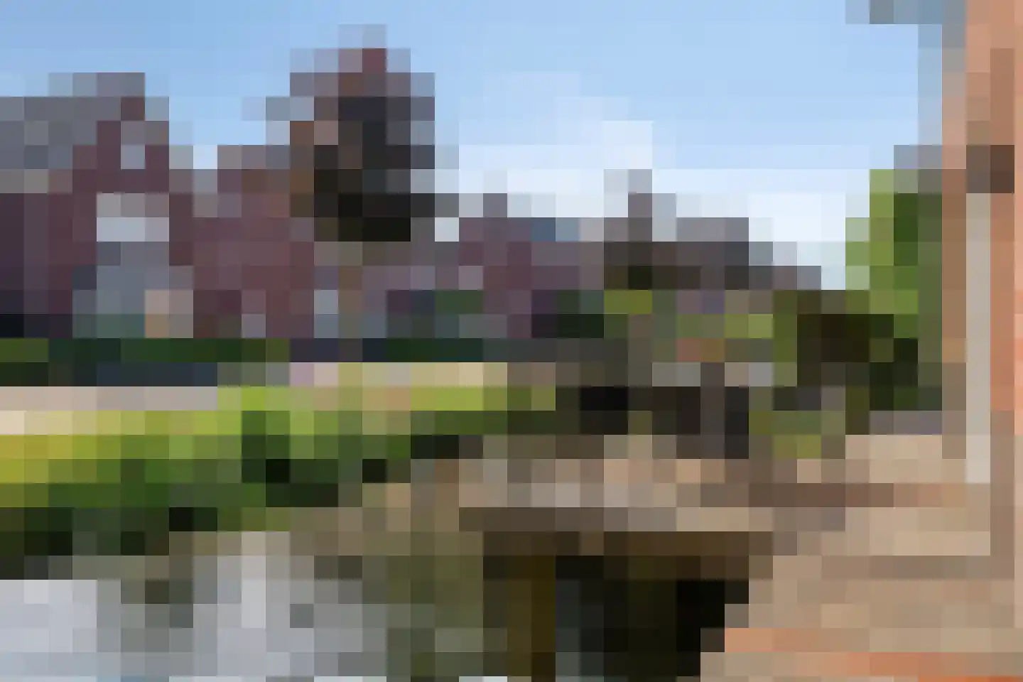 Dassenburcht 6 Scherpenzeel thumbnail 46