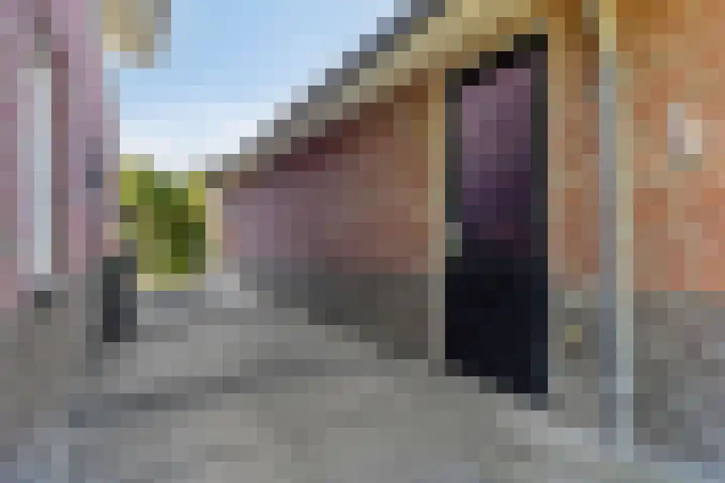 Dassenburcht 6 Scherpenzeel thumbnail 47
