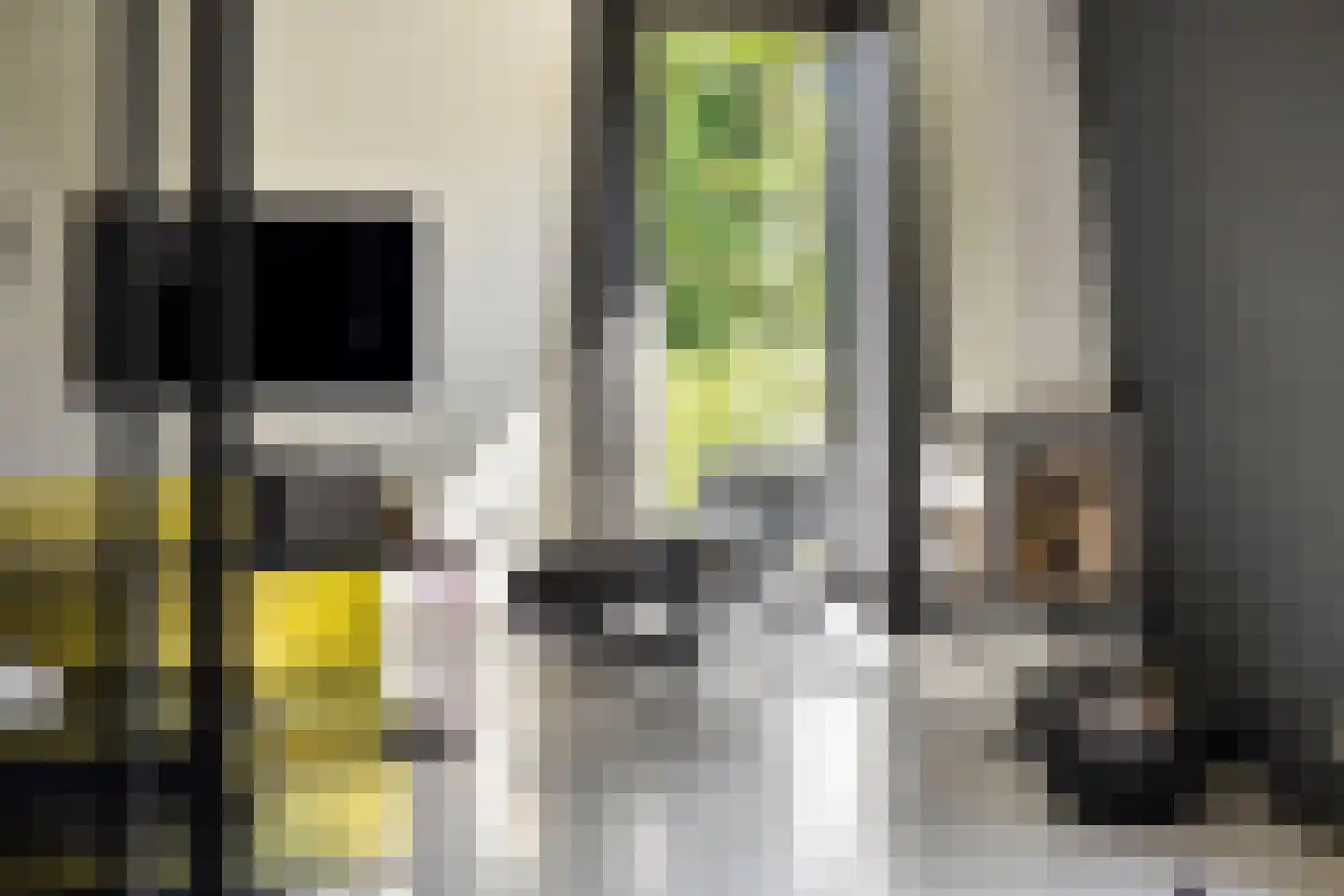 Dassenburcht 6 Scherpenzeel thumbnail 5