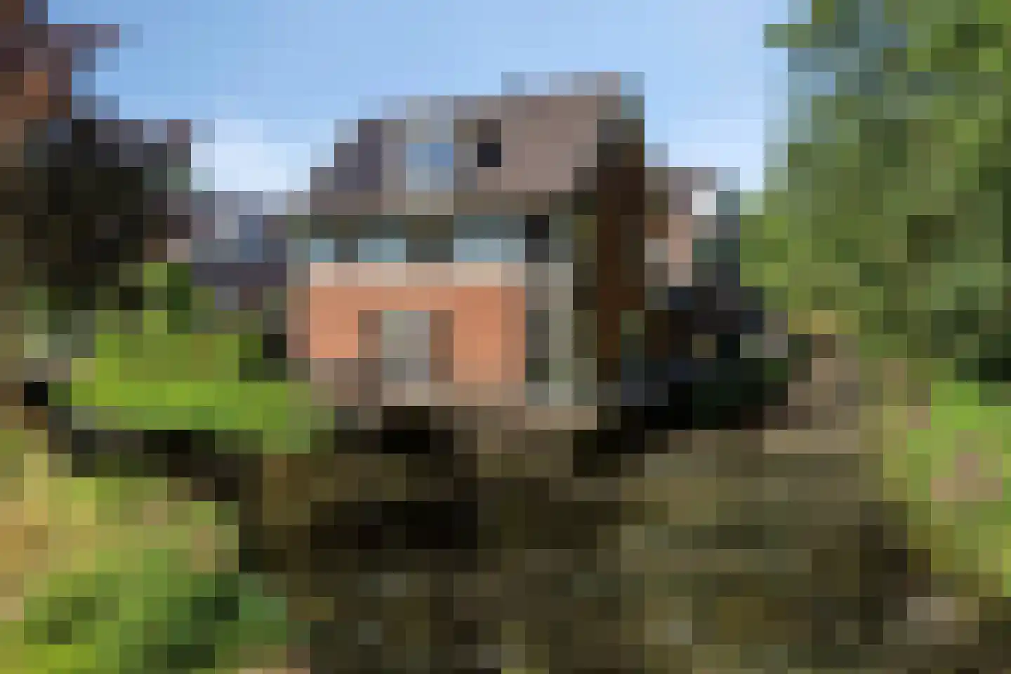 Dassenburcht 6 Scherpenzeel thumbnail 55