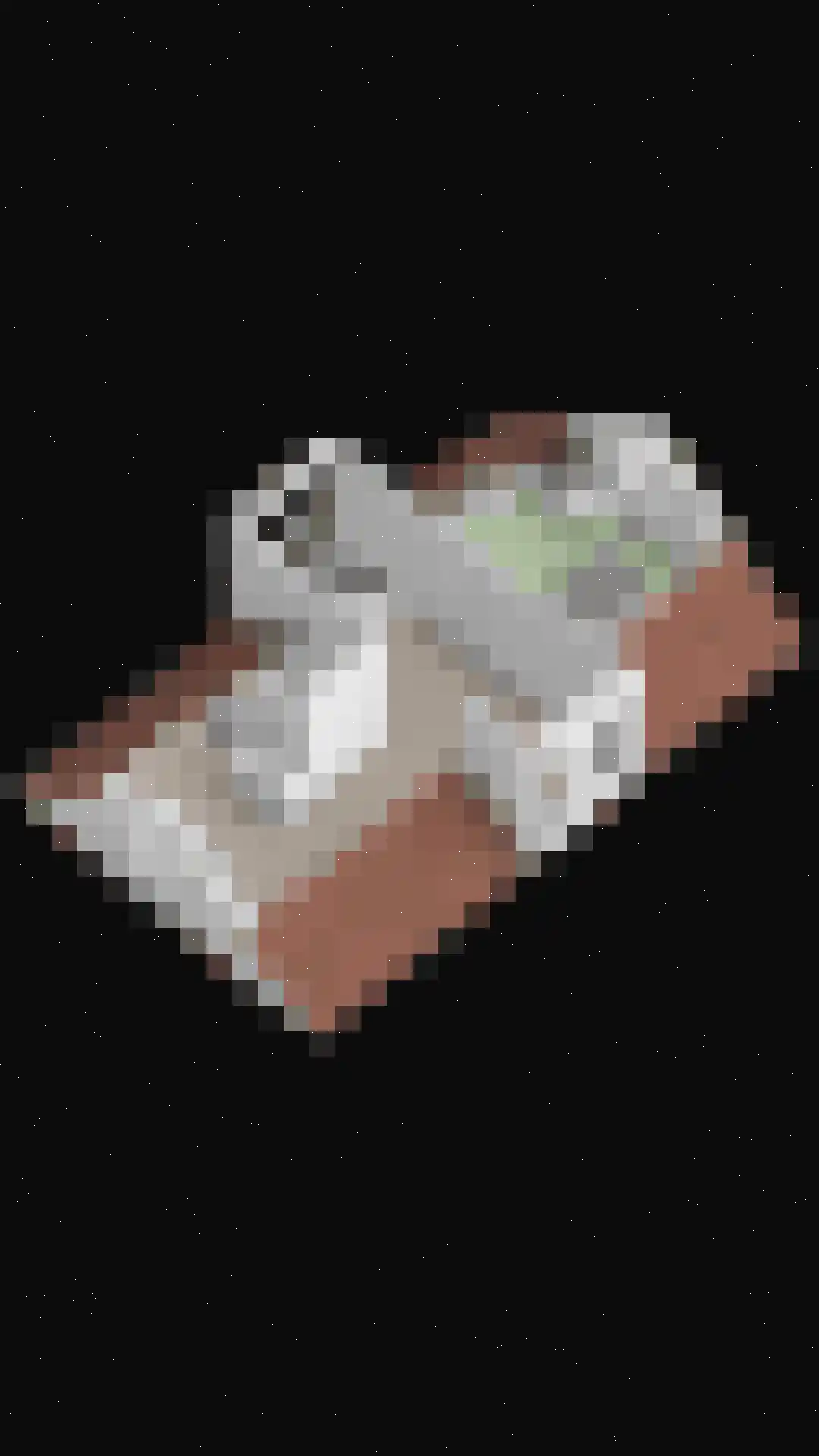 Dassenburcht 6 Scherpenzeel thumbnail 64