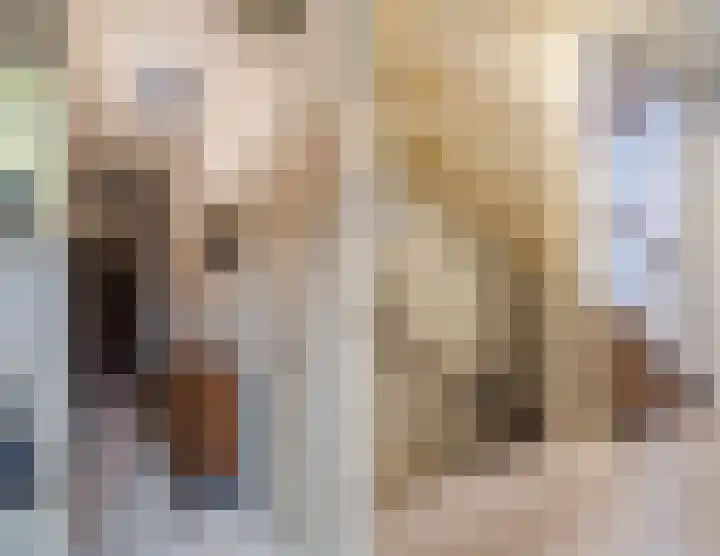 Dassenburcht 8 Gilze thumbnail 23