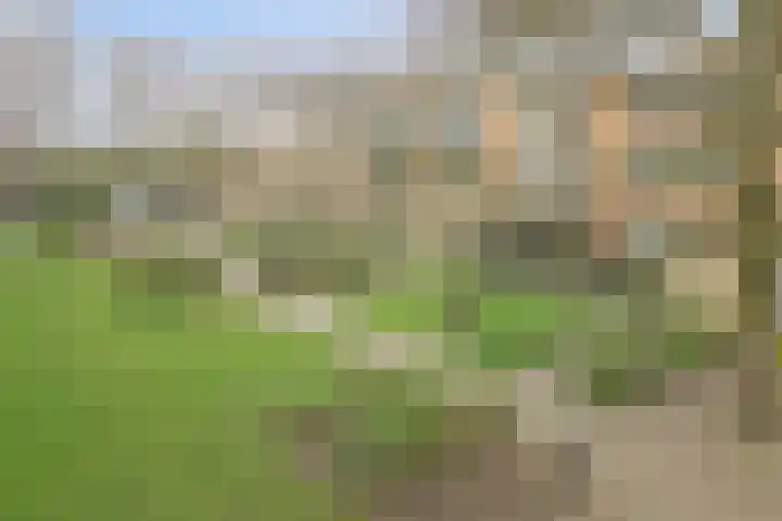 Dassenburcht 8 Gilze thumbnail 25