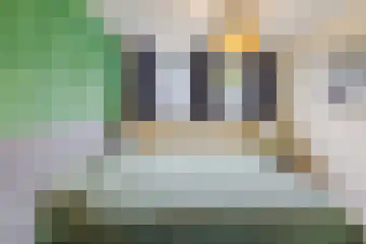 Dassenburcht 8 Gilze thumbnail 25