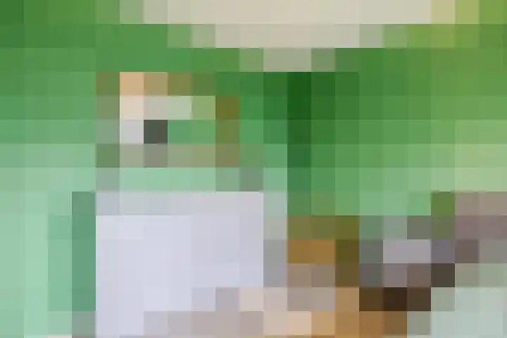 Dassenburcht 8 Gilze thumbnail 26