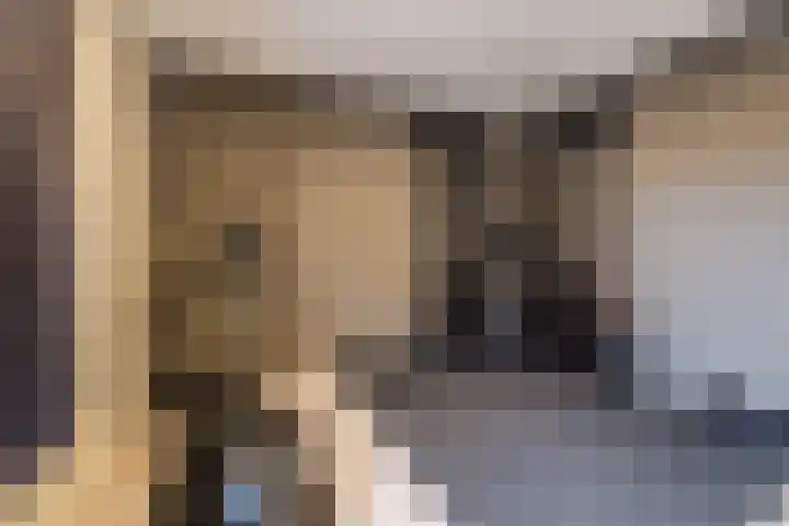 Dassenburcht 8 Gilze thumbnail 29