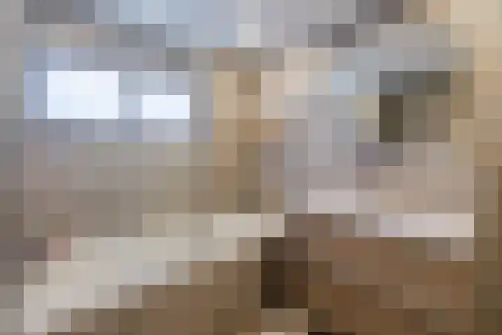 Dassenburcht 8 Gilze thumbnail 35