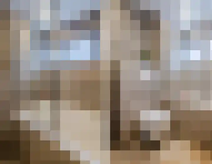 Dassenburcht 8 Gilze thumbnail 36