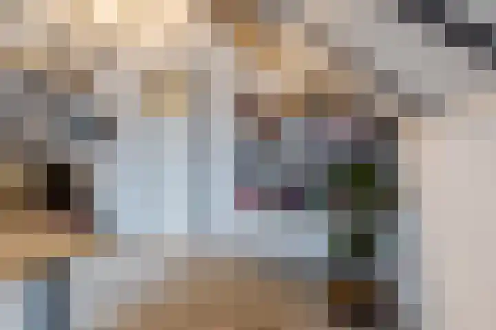 Dassenburcht 8 Gilze thumbnail 41