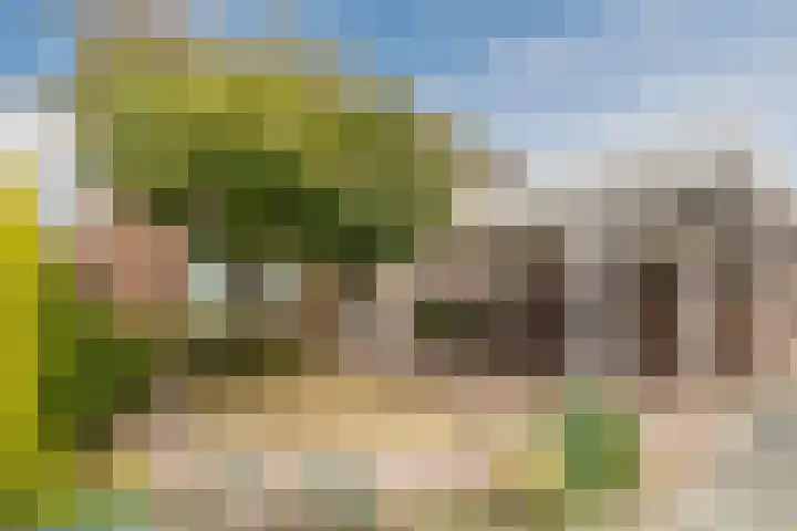 Dassenburcht 8 Gilze thumbnail 49