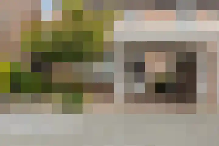 Dassenburcht 8 Gilze thumbnail 50