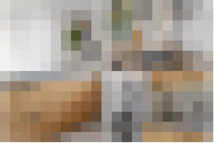Dassenburcht 88 Vleuten thumbnail 11