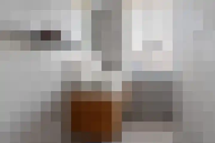 Dassenburcht 88 Vleuten thumbnail 18
