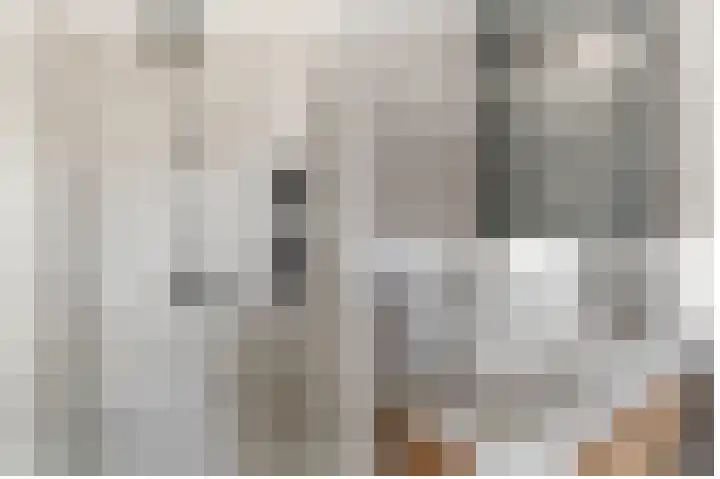 Dassenburcht 88 Vleuten thumbnail 19