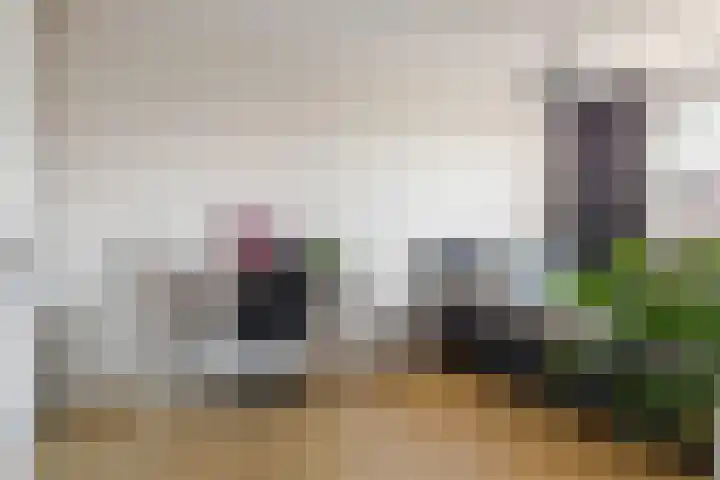 Dassenburcht 88 Vleuten thumbnail 25
