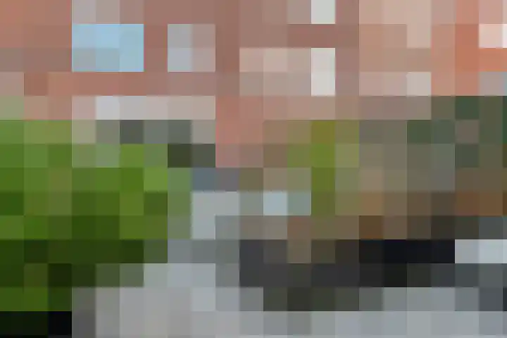 Dassenburcht 88 Vleuten thumbnail 27