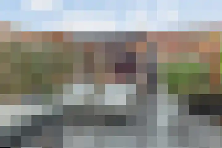 Dassenburcht 88 Vleuten thumbnail 29