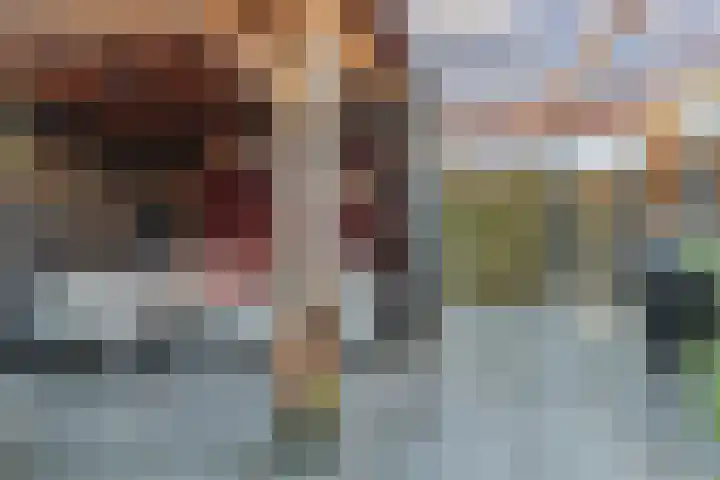 Dassenburcht 88 Vleuten thumbnail 30