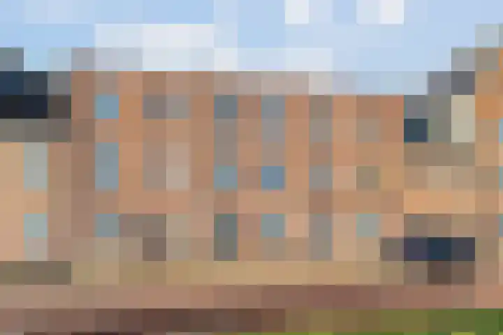 Dassenburcht 88 Vleuten thumbnail 32