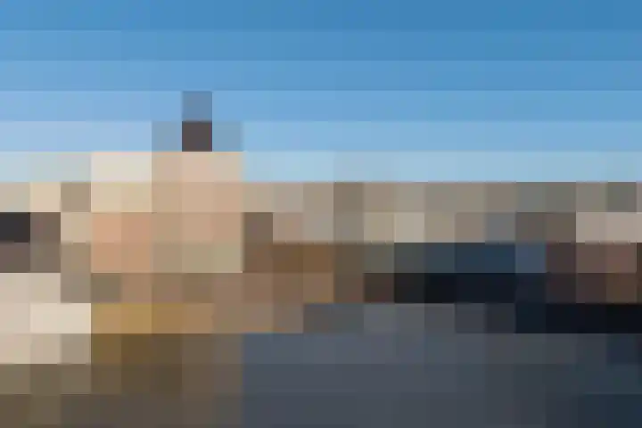 Dassenburcht 88 Vleuten thumbnail 34