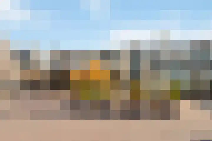 Dassenburcht 88 Vleuten thumbnail 36
