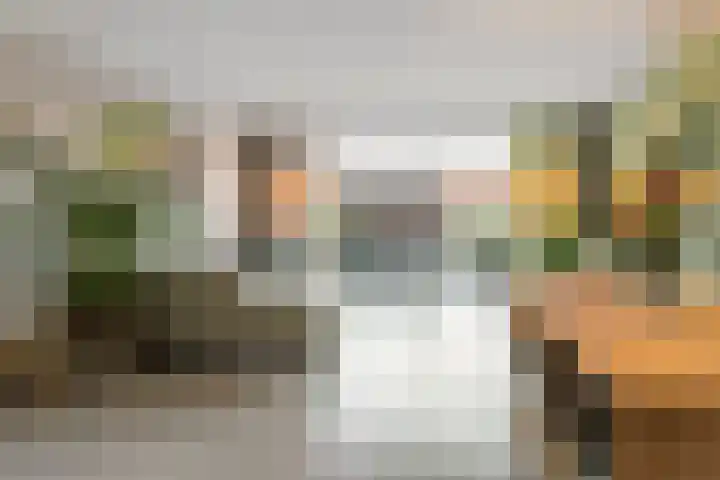 Dassenburcht 88 Vleuten thumbnail 5