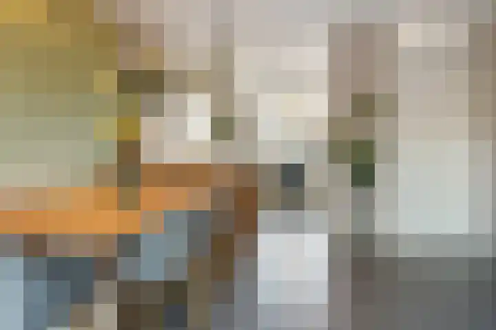 Dassenburcht 88 Vleuten thumbnail 8