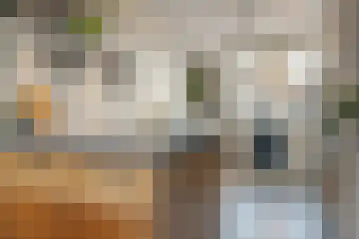 Dassenburcht 88 Vleuten thumbnail 9