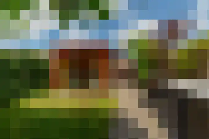 Dassenburg 18 Barendrecht thumbnail 30