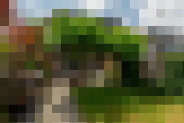 Dassenburg 18 Barendrecht thumbnail 33
