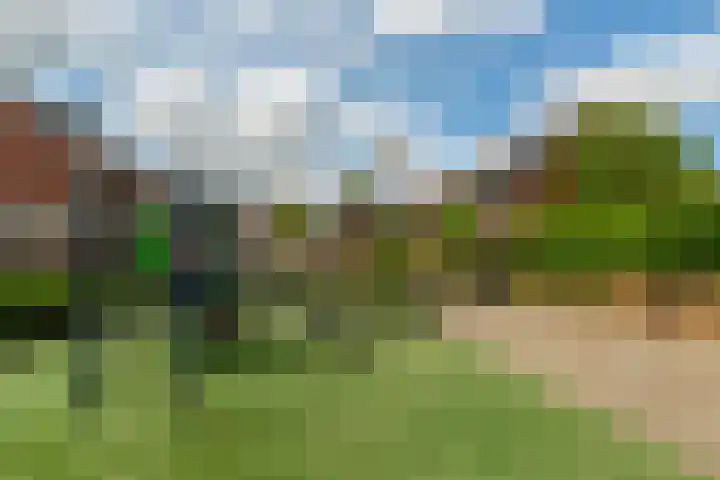 Dassenburg 18 Barendrecht thumbnail 38