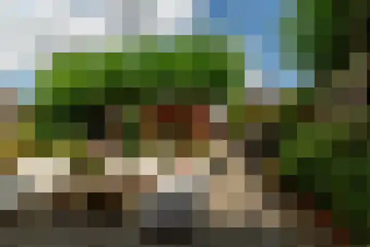 Dassenburg 18 Barendrecht thumbnail 5