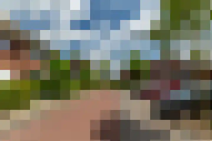 Dassenburg 18 Barendrecht thumbnail 6