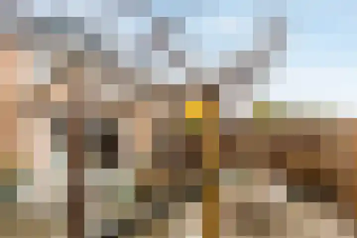 Dassenhoorn 34 Landgraaf thumbnail 29
