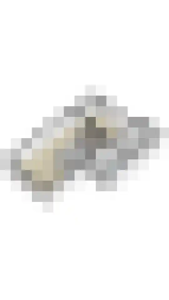 Dassenhoorn 34 Landgraaf thumbnail 37