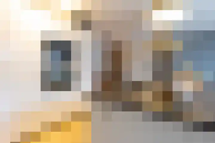 Dassenhoorn 34 Landgraaf thumbnail 7