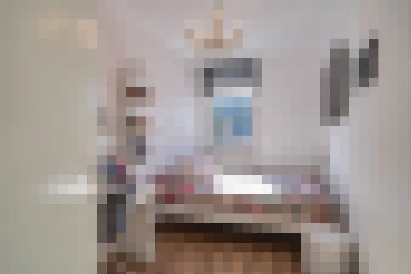 Dassenkuillaan 59 Geleen thumbnail 17