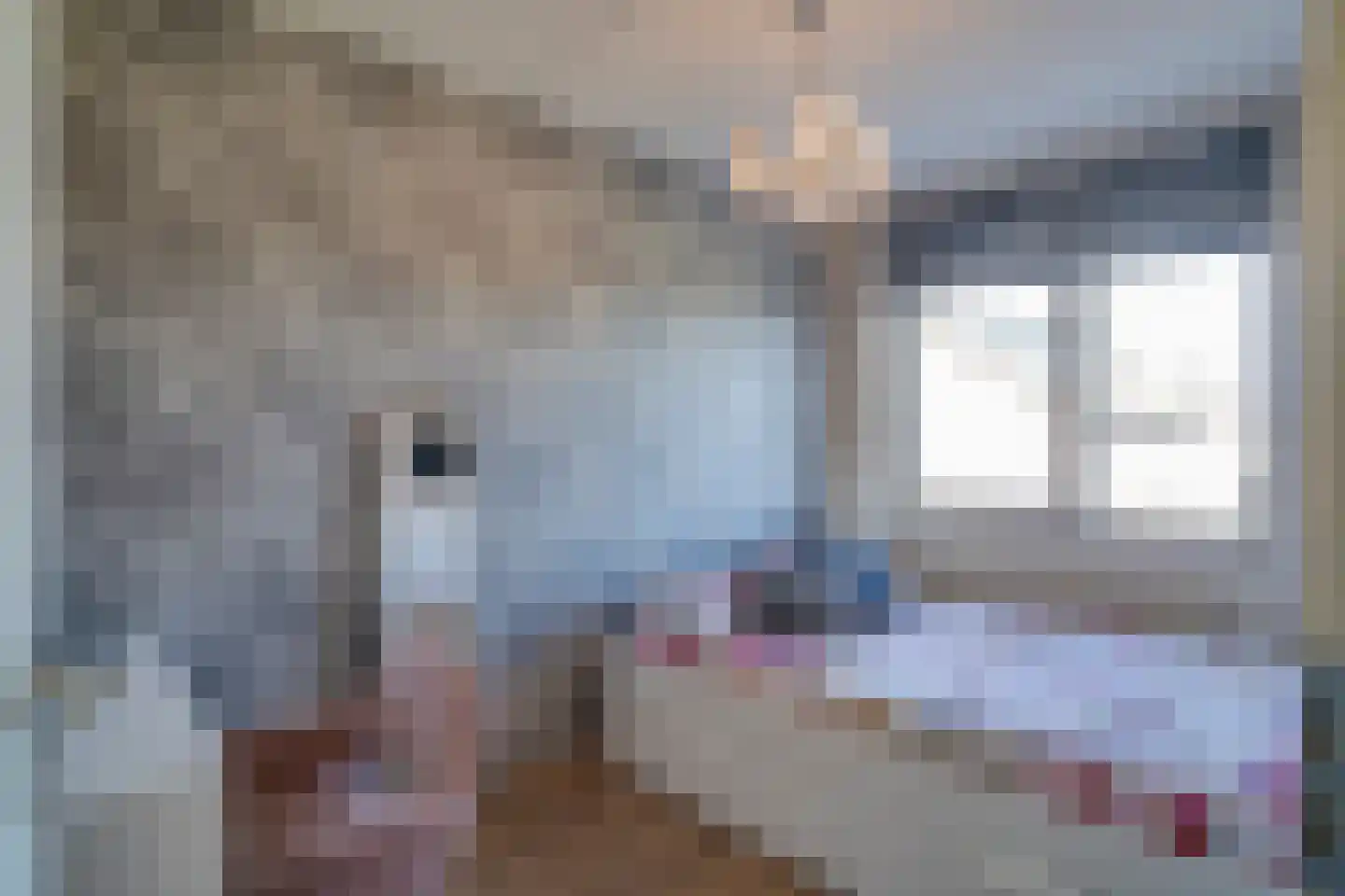 Dassenkuillaan 59 Geleen thumbnail 21