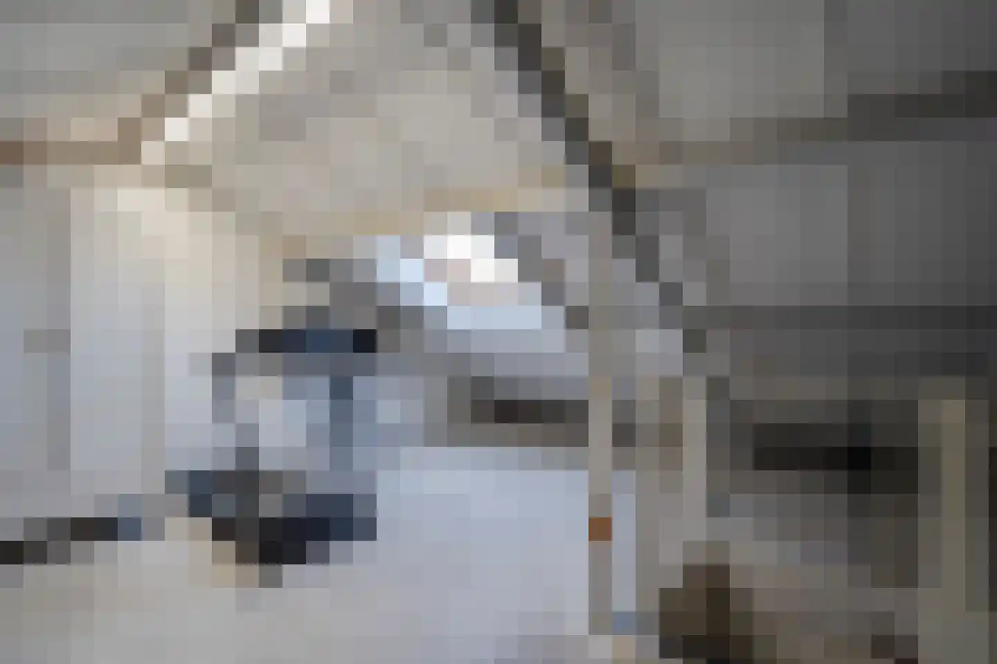 Dassenkuillaan 59 Geleen thumbnail 24