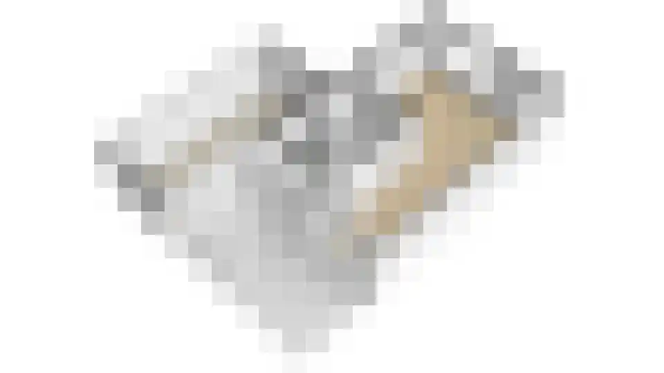 Dassenkuillaan 59 Geleen thumbnail 33
