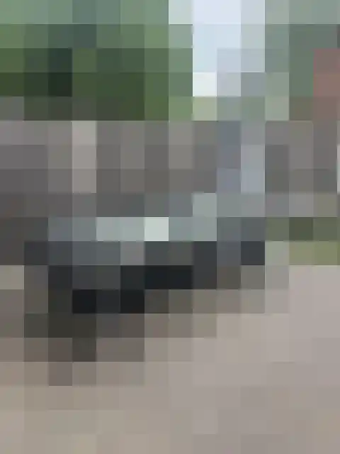 Dassenkuillaan 75 Geleen thumbnail 4