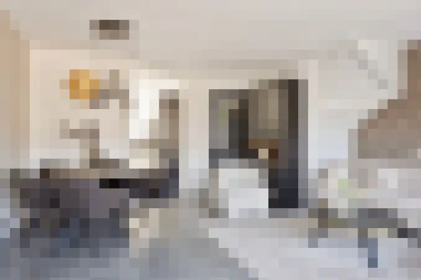 Dassenlaan 2 Veenendaal thumbnail 11