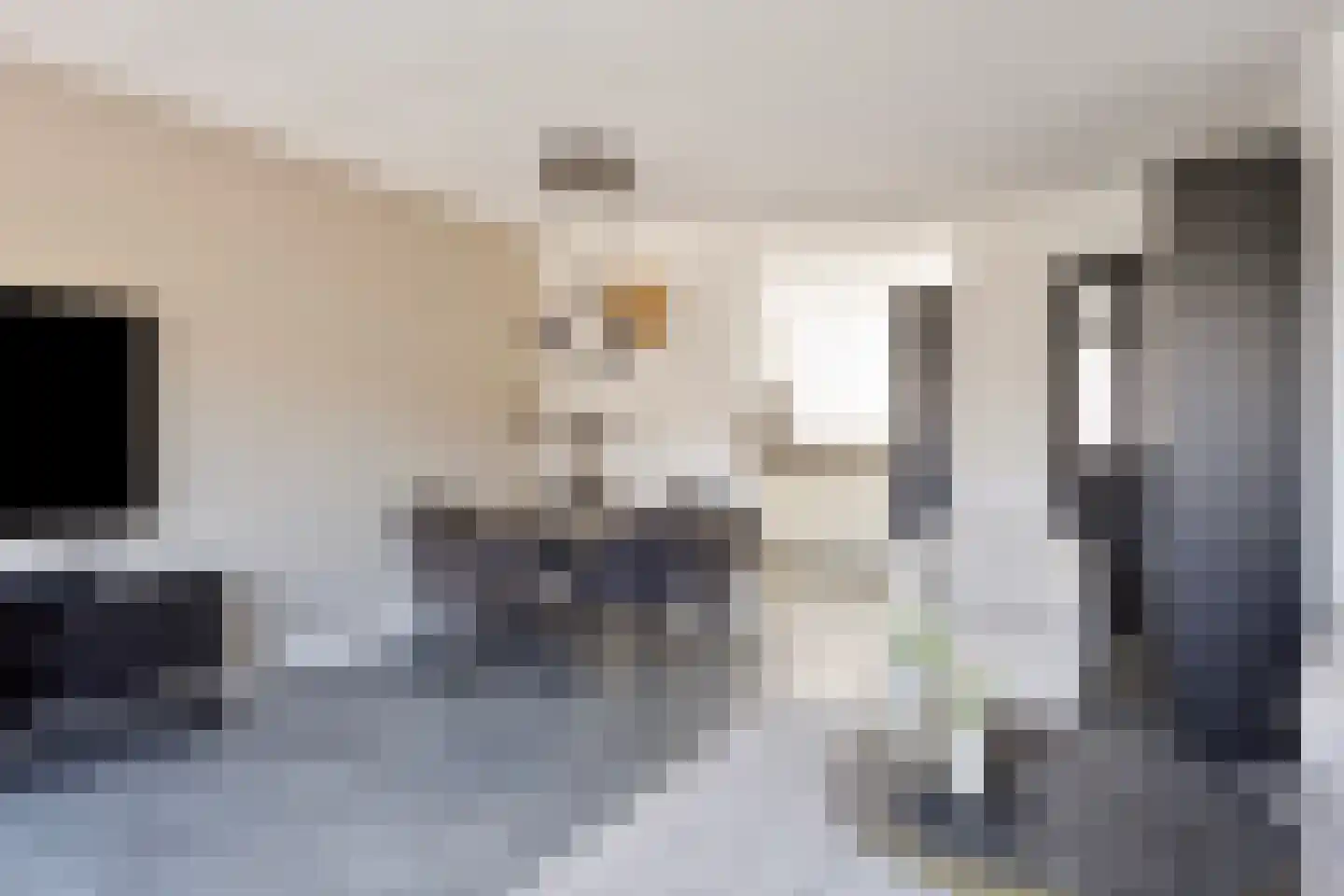 Dassenlaan 2 Veenendaal thumbnail 12