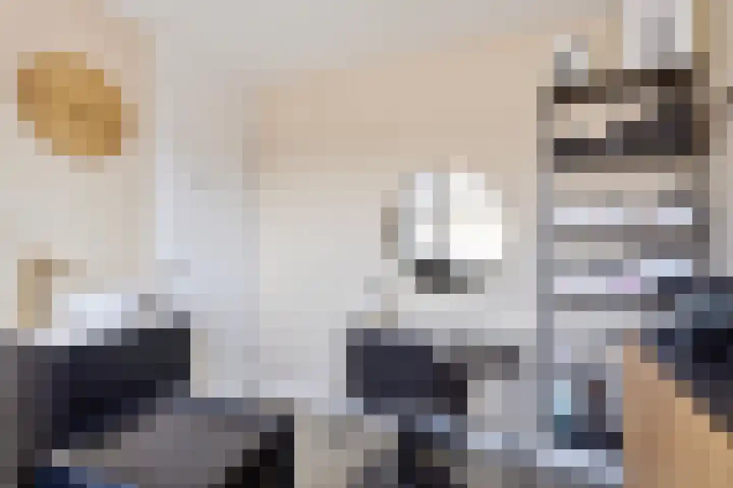Dassenlaan 2 Veenendaal thumbnail 19