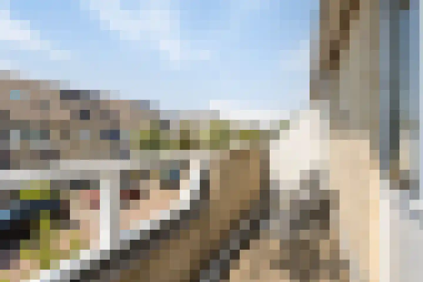 Dassenlaan 2 Veenendaal thumbnail 22