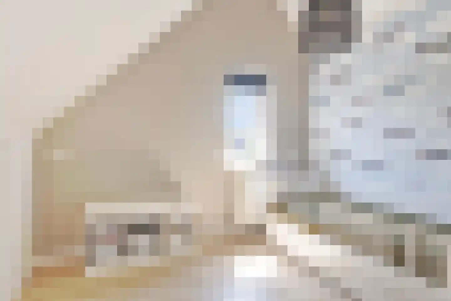 Dassenlaan 2 Veenendaal thumbnail 29