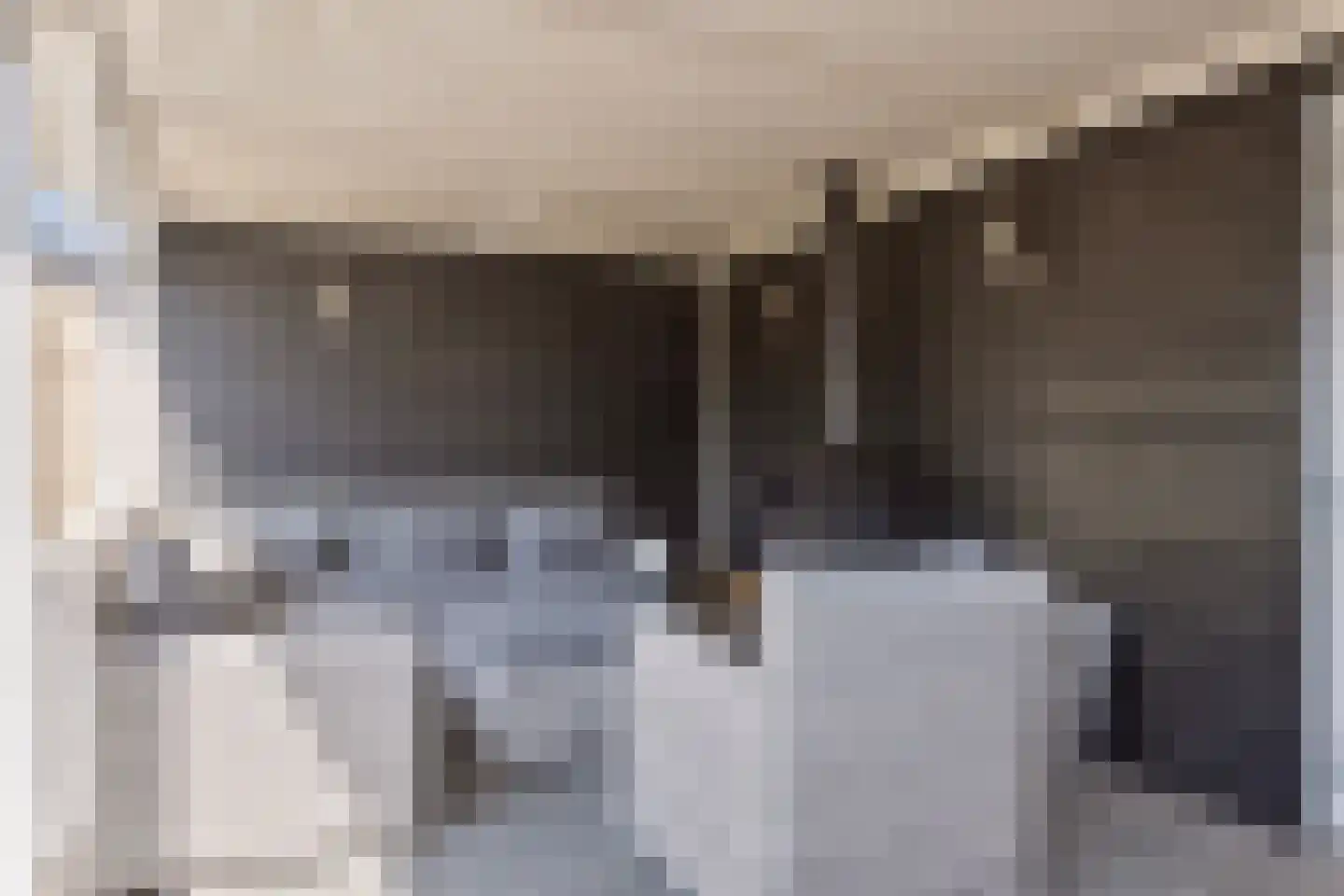 Dassenlaan 2 Veenendaal thumbnail 35