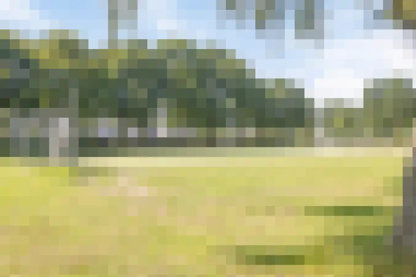 Dassenlaan 2 Veenendaal thumbnail 41