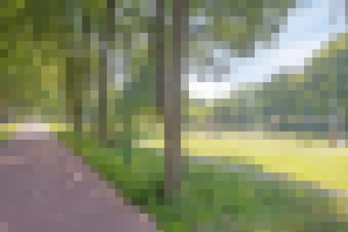 Dassenlaan 2 Veenendaal thumbnail 42